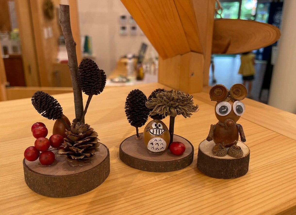 木の実クラフト | イベント | 三重県民の森