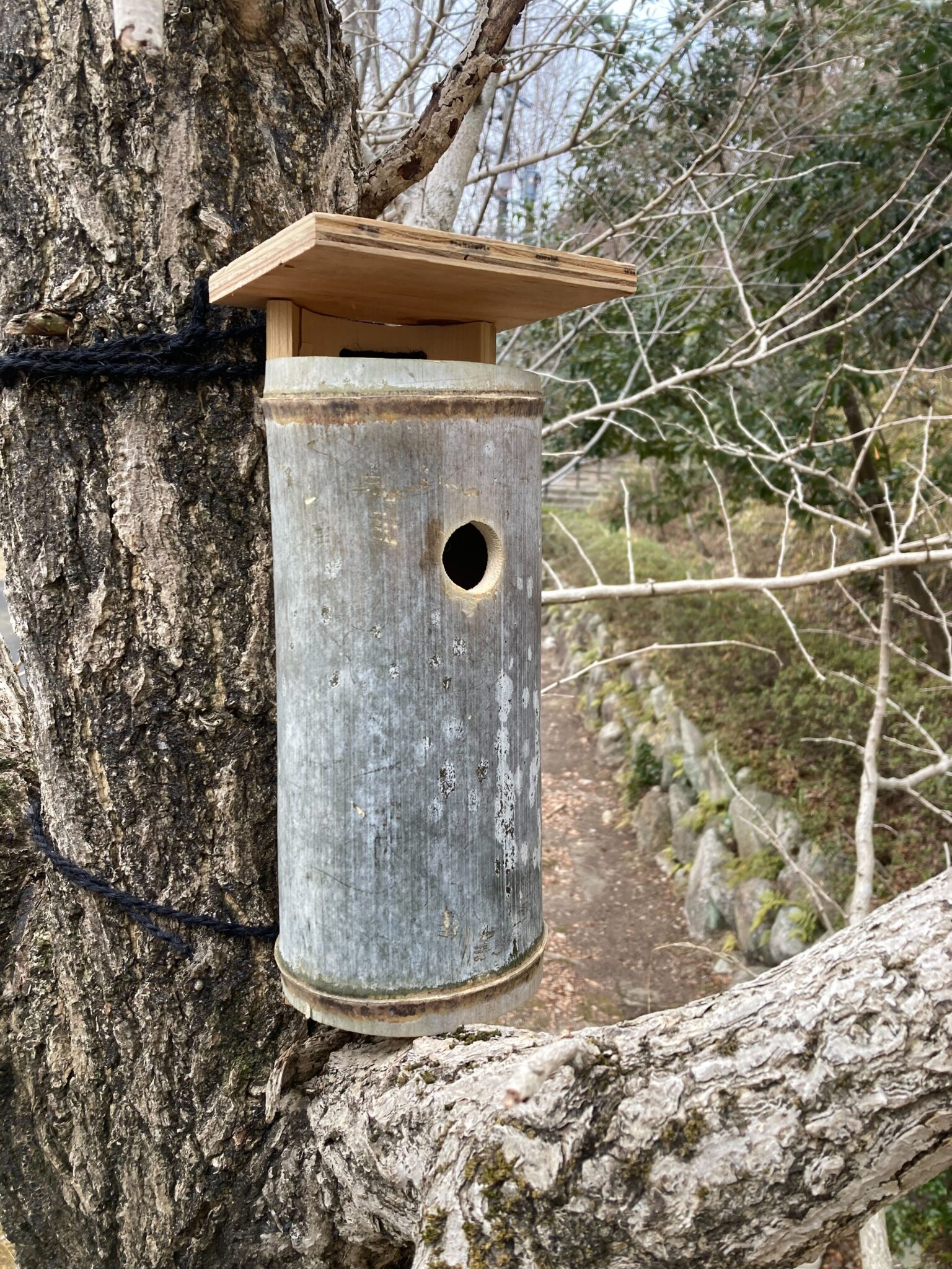 竹で鳥の巣箱を作ろう！ | イベント | 三重県民の森