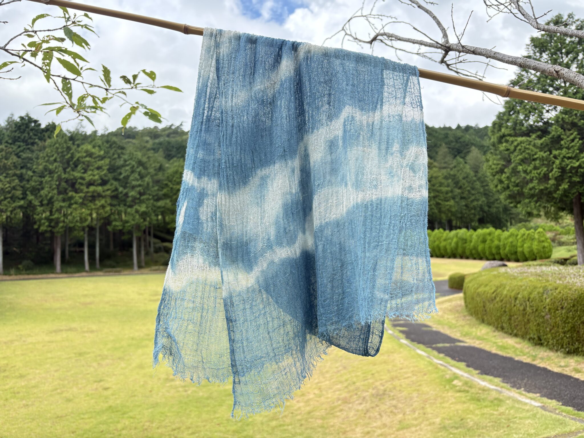 大人の草木染め～藍の乾燥葉染め～ | イベント | 三重県民の森